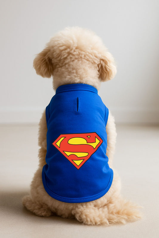 Kedi ve Köpek Kıyafeti & Elbisesi - Saks Mavi Superman Atlet