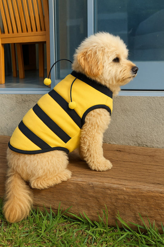 Yeni Sezon Köpek Ve Kedi Kıyafeti - Arı Maya