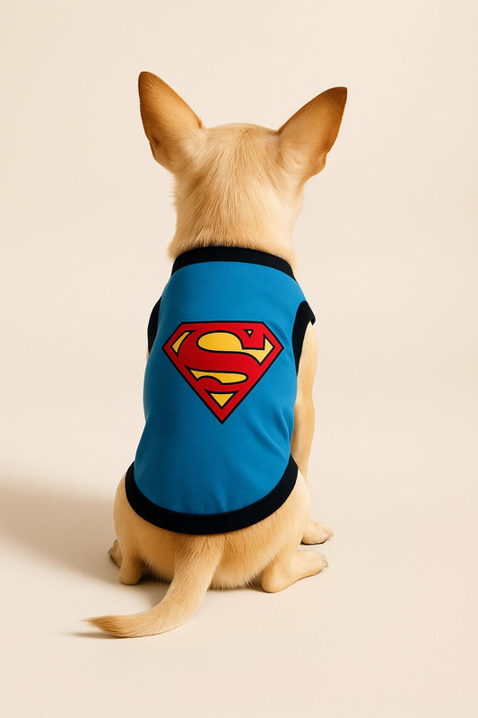 Yeni Sezon Köpek Ve Kedi Kıyafeti - Mavi Superman