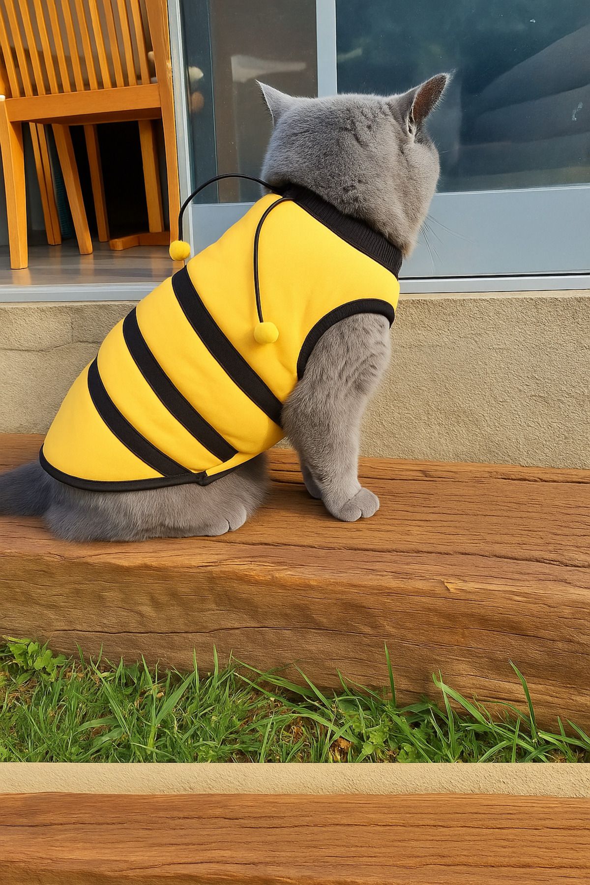 Yeni Sezon Köpek Ve Kedi Kıyafeti - Arı Maya