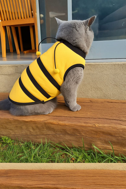 Yeni Sezon Köpek Ve Kedi Kıyafeti - Arı Maya