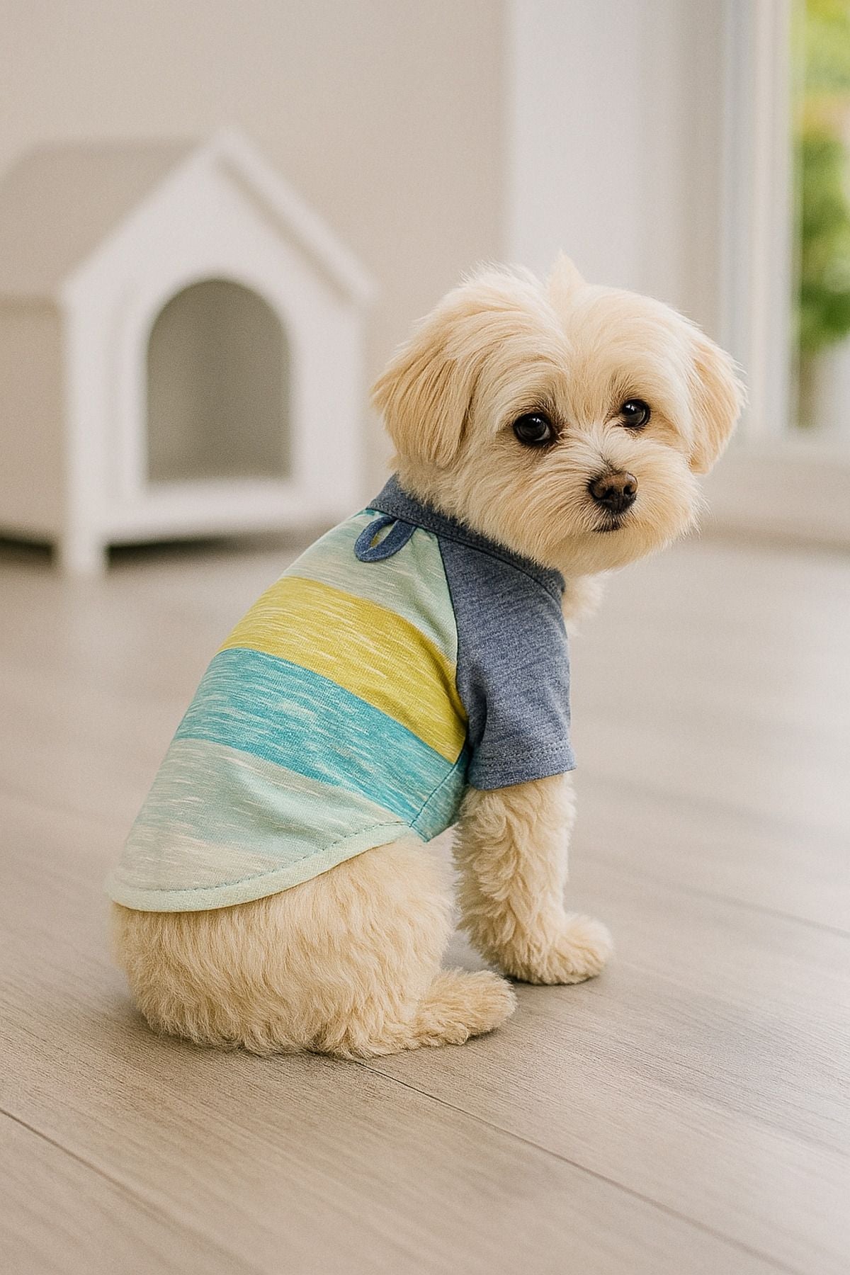 Kedi ve Köpek Kıyafeti & Elbisesi - Mavi ve Beyaz T-Shirt