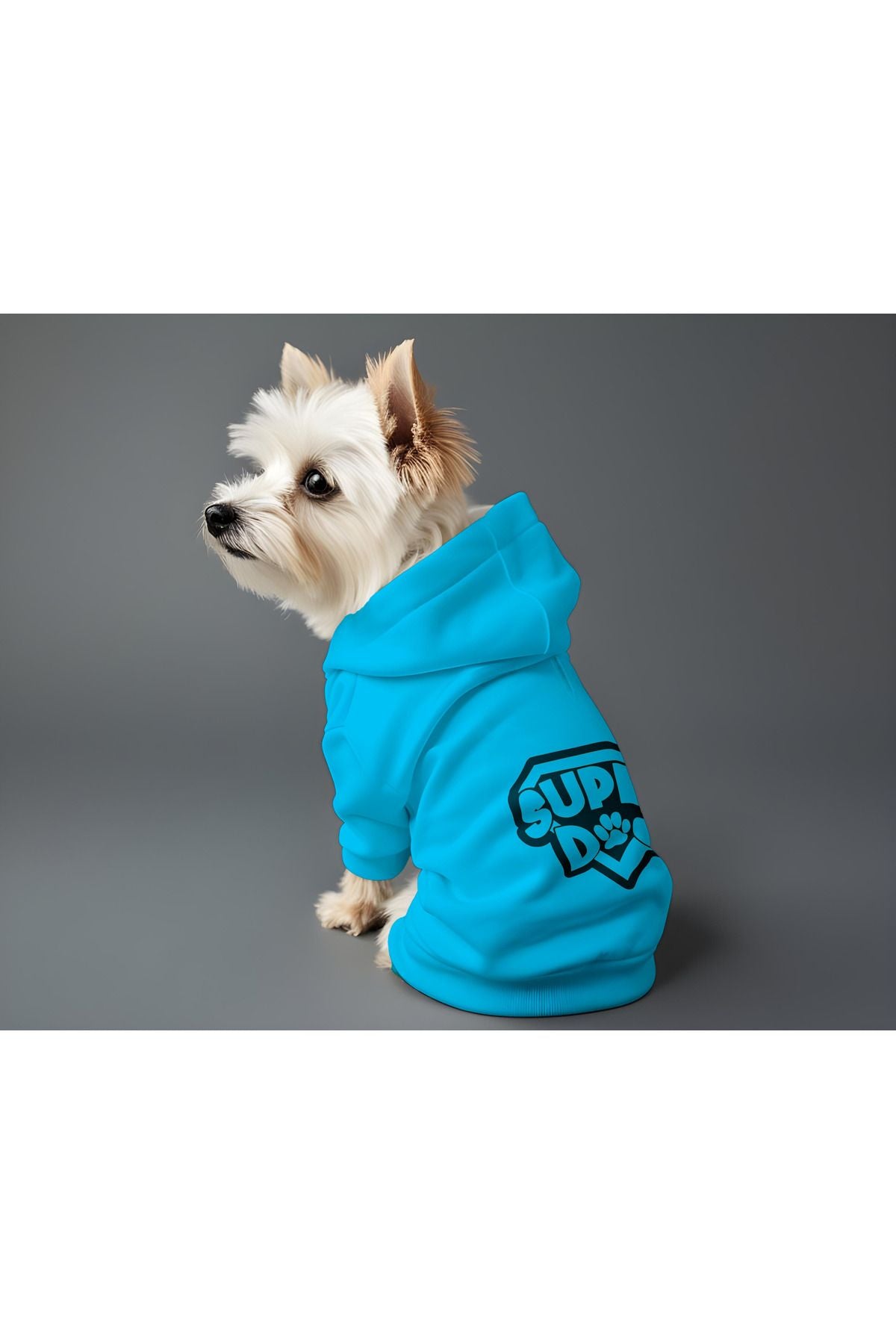 Kedi ve Köpek Kıyafeti & Elbisesi - Mavi Hoodie Super Dog