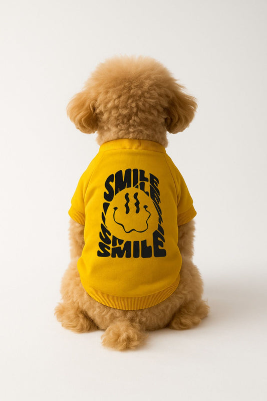Kedi ve Köpek Kıyafeti & Elbisesi - Sarı Sweatshirt Smile