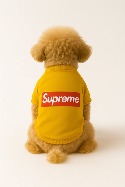 Kedi ve Köpek Kıyafeti & Elbisesi - Sarı Sweatshirt Supreme