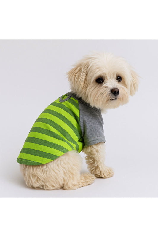 Kedi ve Köpek Kıyafeti & Elbisesi - Yeşil ve Gri T-Shirt