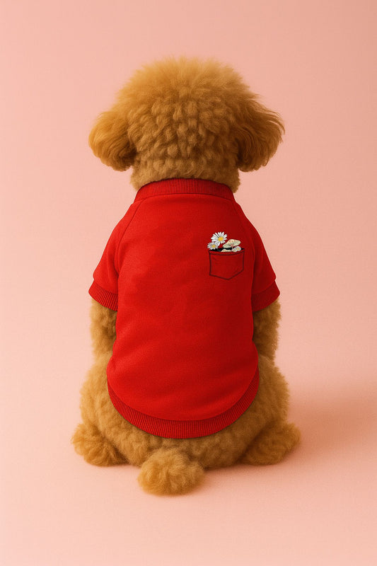 Kedi ve Köpek Kıyafeti & Elbisesi - Kırmızı Sweatshirt Papatya Cep