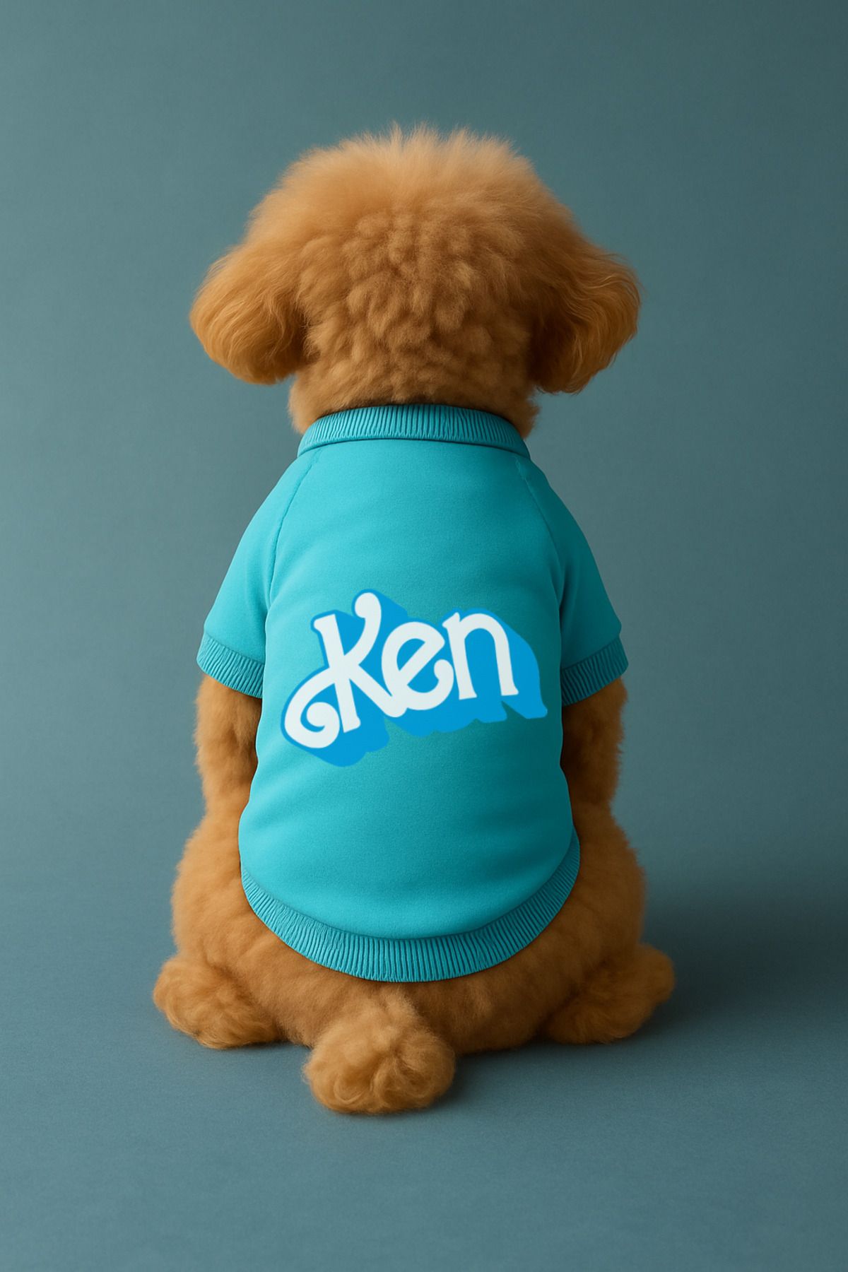 Kedi ve Köpek Kıyafeti & Elbisesi - Mavi Sweatshirt Ken