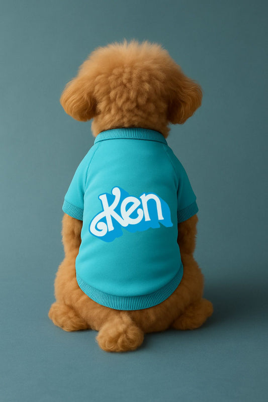 Kedi ve Köpek Kıyafeti & Elbisesi - Mavi Sweatshirt Ken