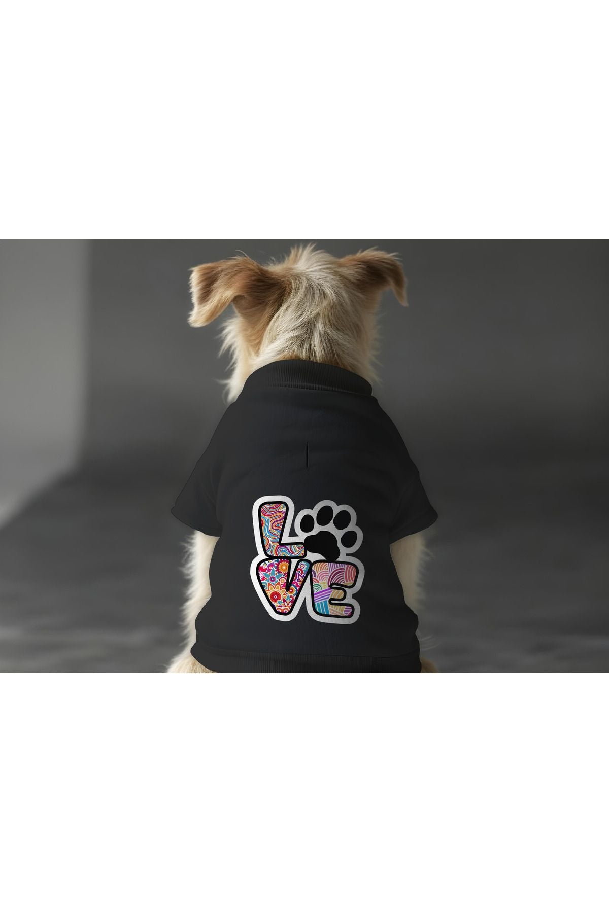 Kedi ve Köpek Kıyafeti & Elbisesi - Siyah Sweatshirt Renkli Love