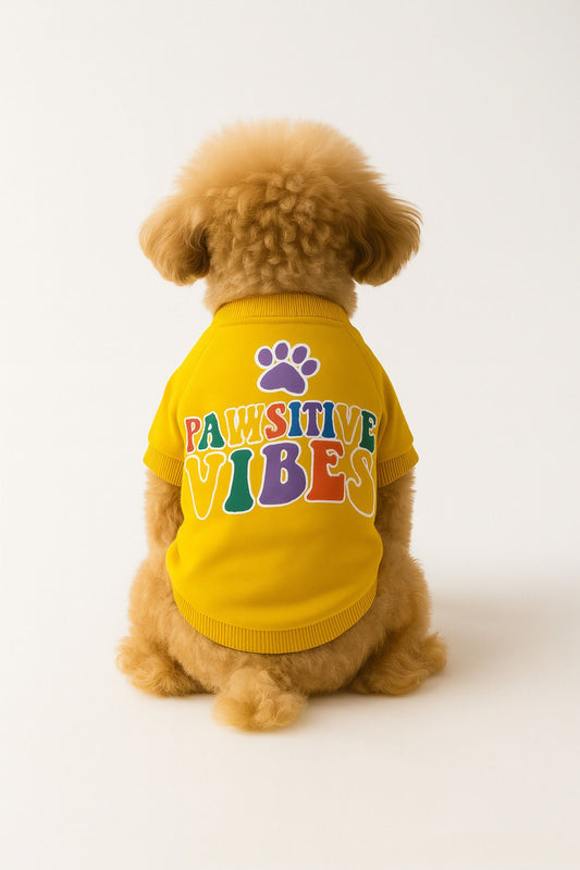 Kedi ve Köpek Kıyafeti & Elbisesi - Sarı Sweatshirt Pawsitive Vibes
