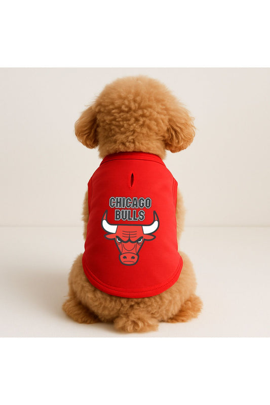 Kedi ve Köpek Kıyafeti & Elbisesi - Kırmızı Chicago Bulls Atlet