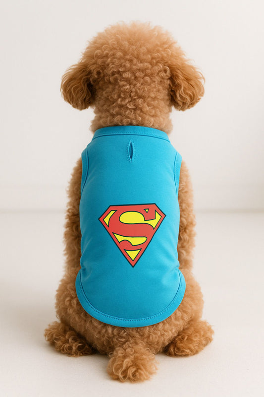 Kedi ve Köpek Kıyafeti & Elbisesi - Turkuaz Superman Atlet